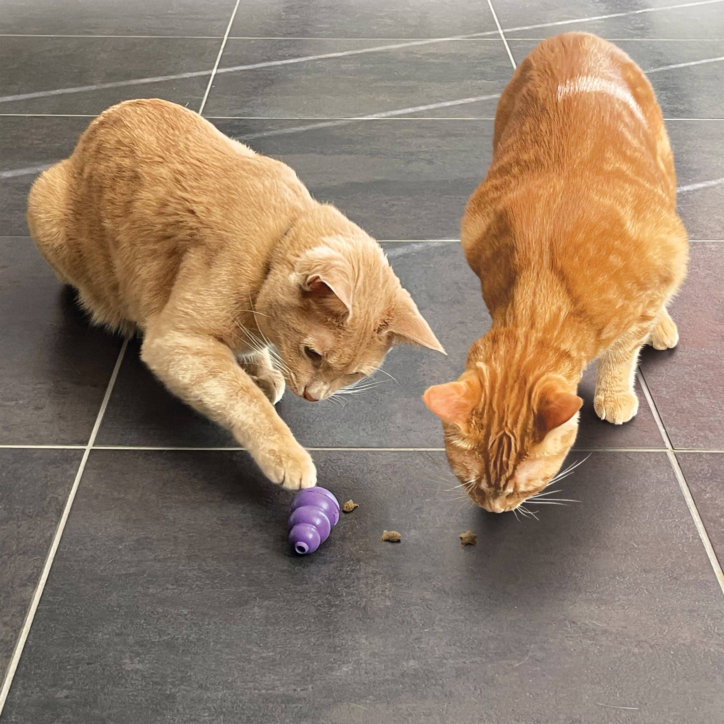 Kong Nibbies WitheFish Recipe Crunchy Cat Treats - 2 oz - The Pet Source