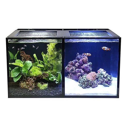 Innovative Marine NUVO Concept Encore 20 PRO Aquarium