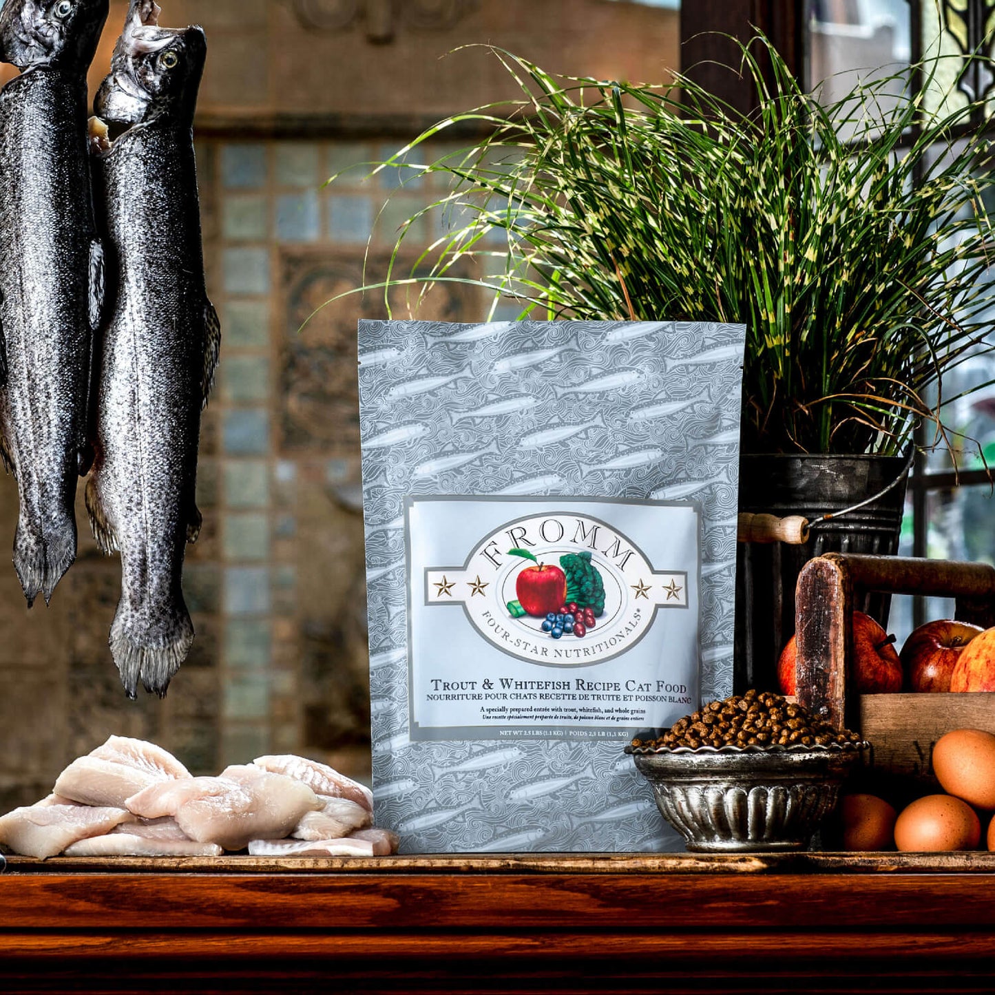 Fromm Trout & Whitefish Recipe Dry Cat Food - 4.54kg