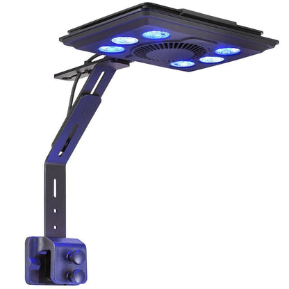 Maxspect Dice AIO 12 Gallon Nano Cube Aquarium with MJ-L165 LED