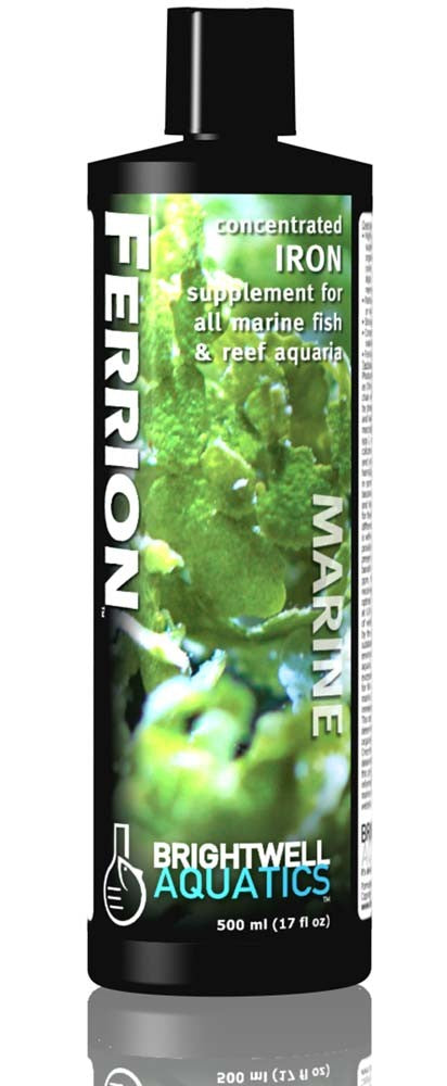 Brightwell Ferrion Concentrated Iron Supplement 17oz