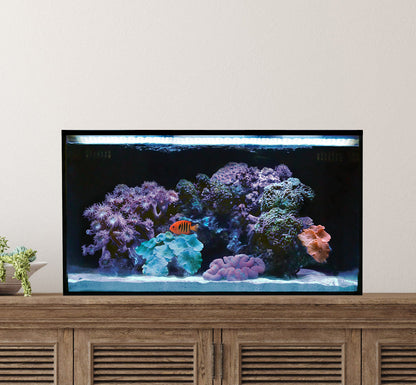 Innovative Marine NUVO Fusion - 20 Long AIO Aquarium - Desktop Starter Kit