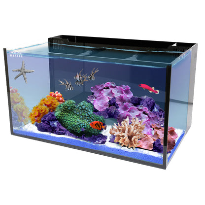 Innovative Marine NUVO Fusion - 20 Long AIO Aquarium - Desktop Starter Kit