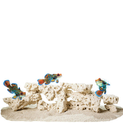 CaribSea South Seas Base Shelf Rock 40lb