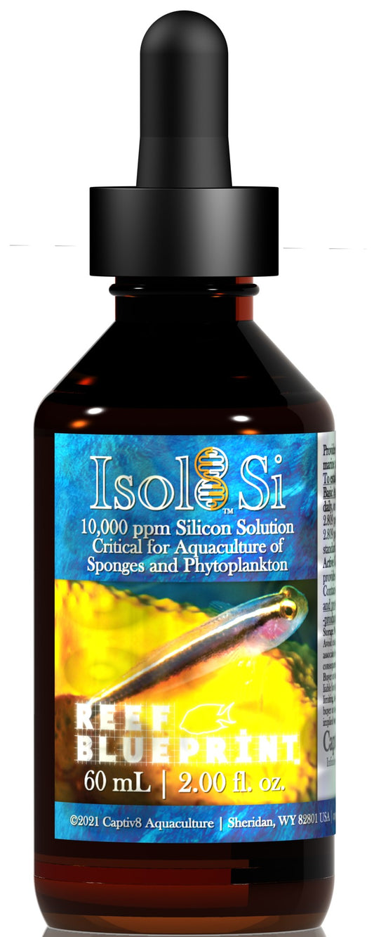 Reef BluePrint Isol8:Si - Silicon