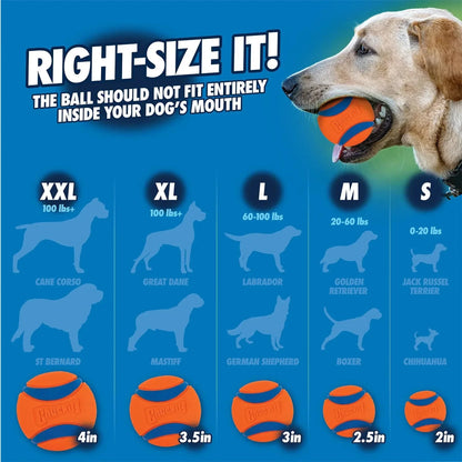 Chuckit! Ultra Squeaker Ball - Medium - The Pet Source