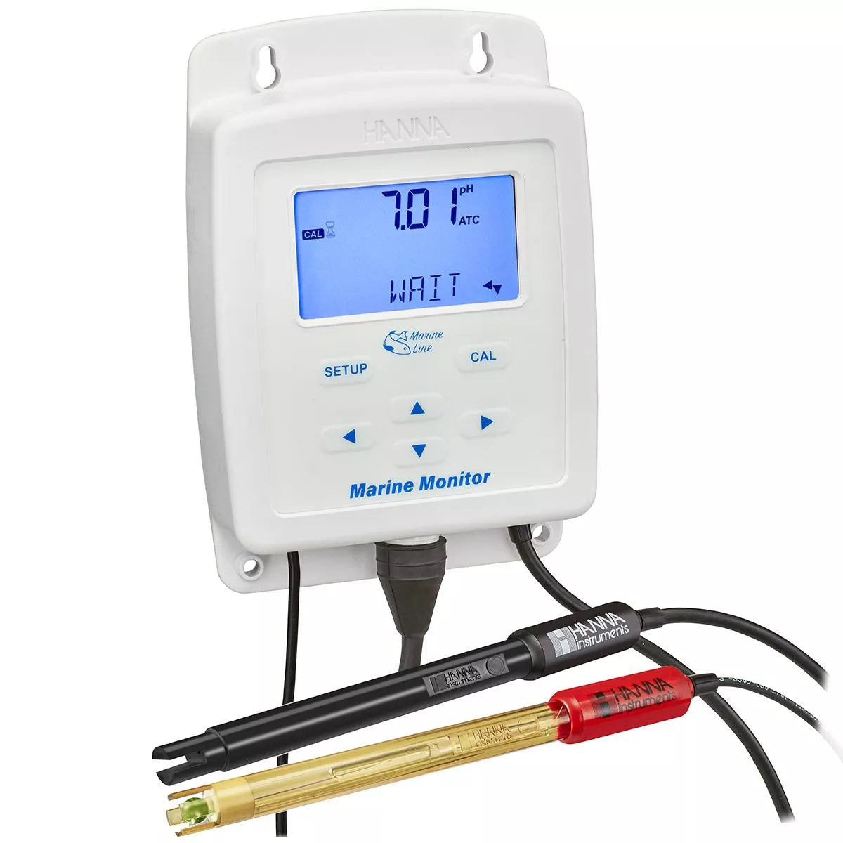 Hanna Instruments Marine Monitor (pH/Salinity/Temperature) HI981520