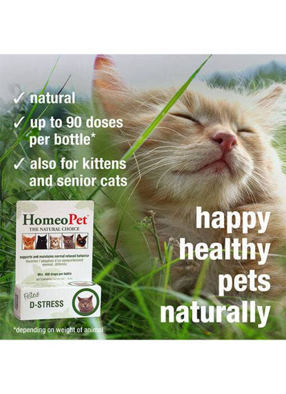 HomeoPet Feline D-Stress - 15ml - The Pet Source