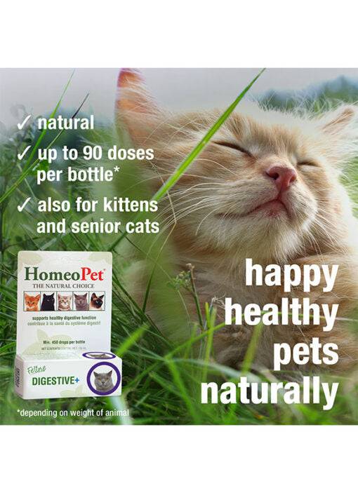 HomeoPet Feline Digestive+  - 15ml - The Pet Source