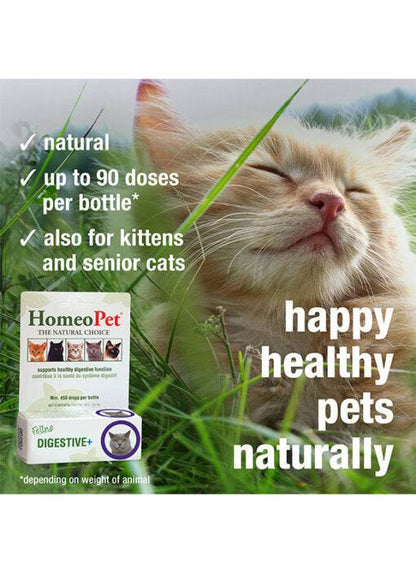 HomeoPet Feline Digestive+  - 15ml - The Pet Source