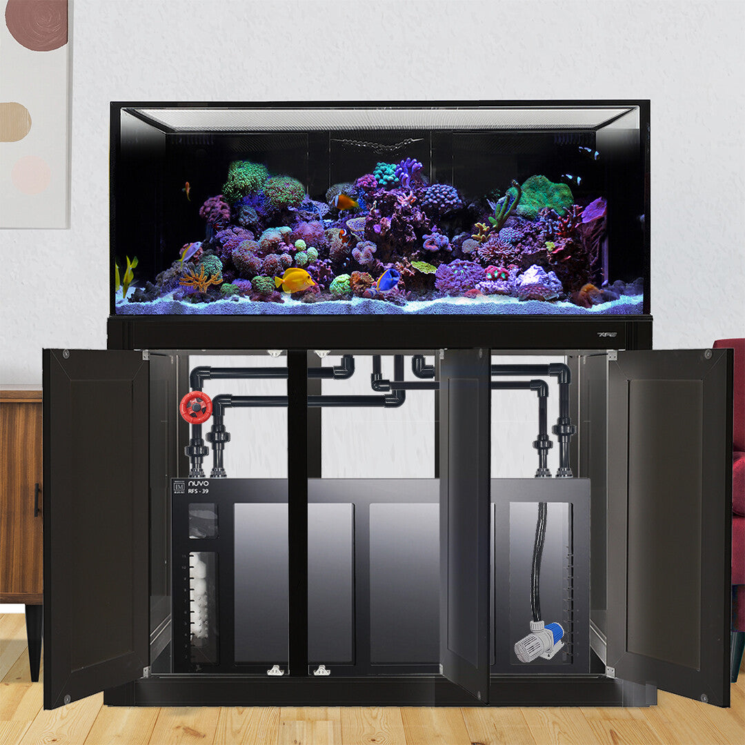 Innovative Marine INT 100 Gallon Complete Reef System - Black