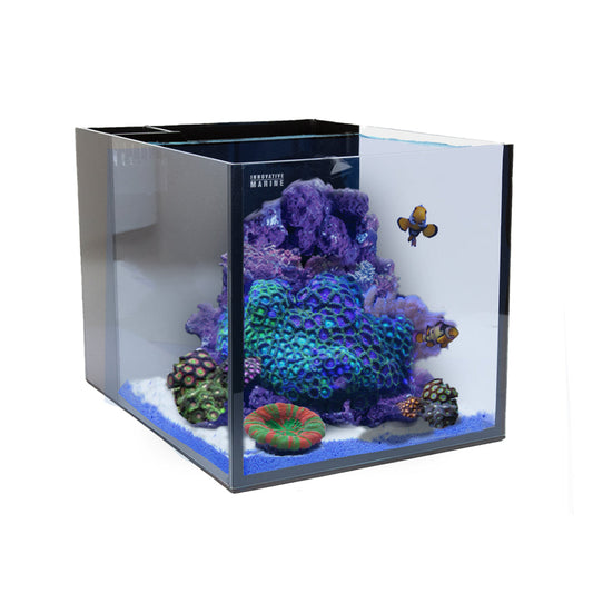 Innovative Marine NUVO Fusion - 15 AIO Cube Aquarium - Desktop Starter Kit
