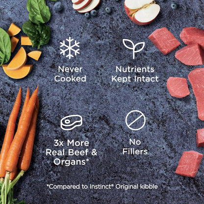Instinct Raw Frozen Bites Adult Dog Food Real Beef - 6lb - The Pet Source