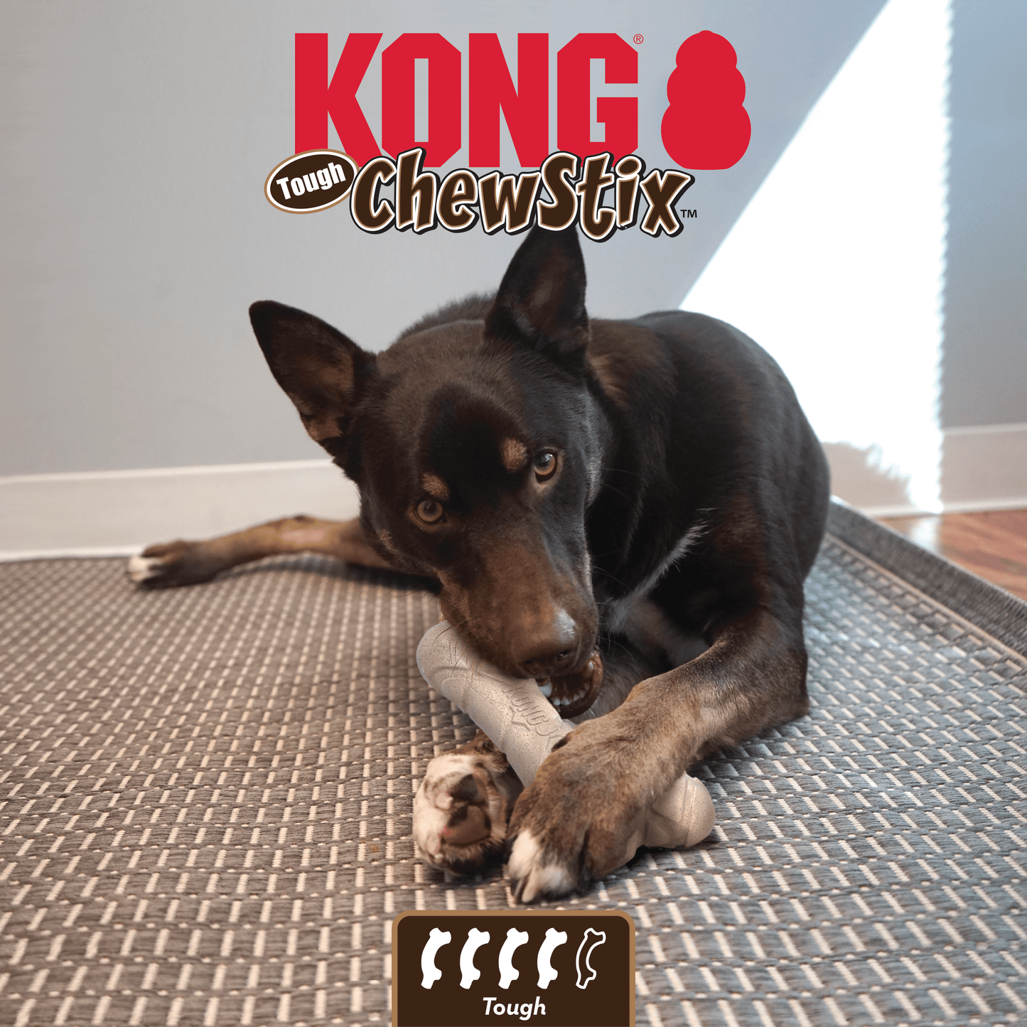 Kong Chewstix Tough Femur Meduim - The Pet Source