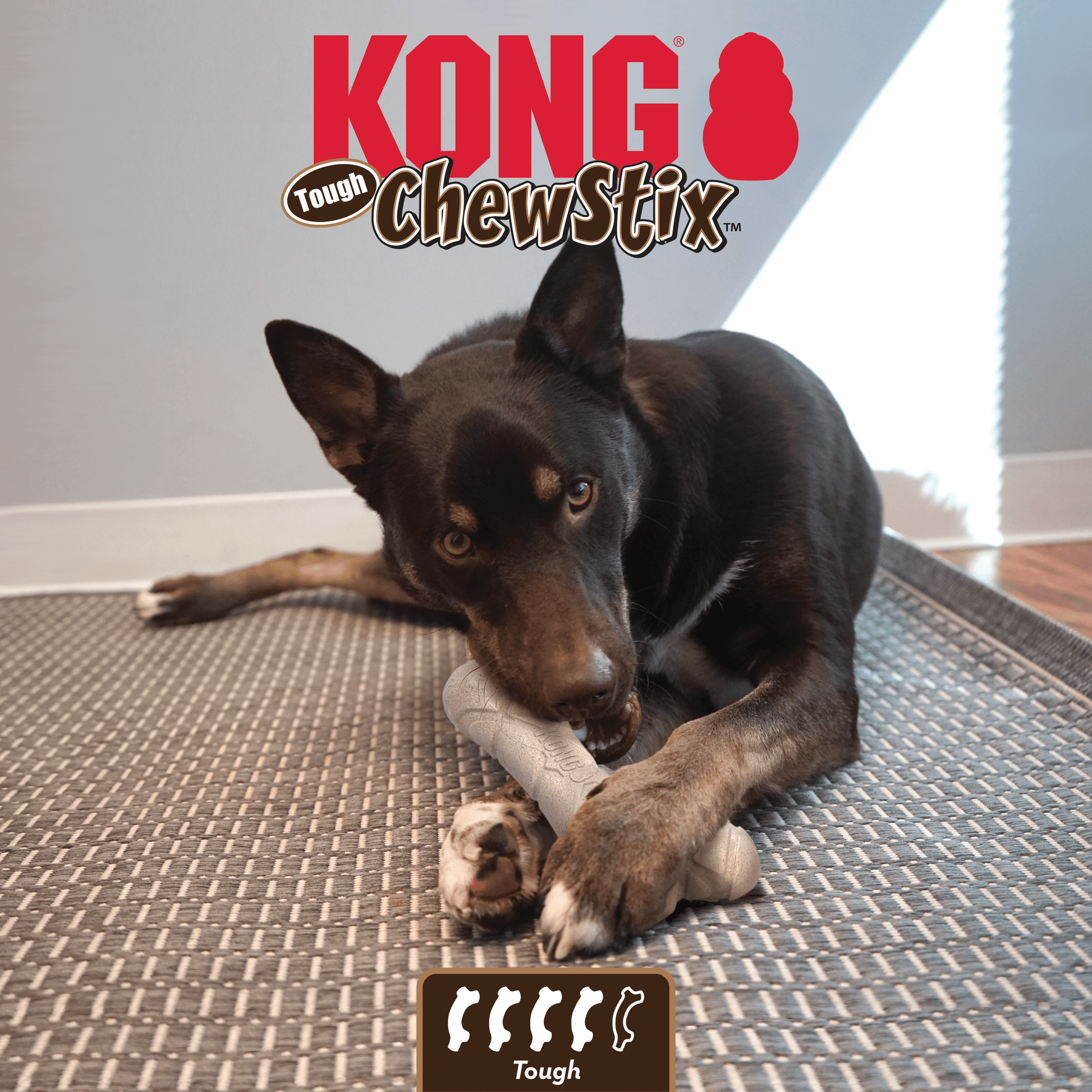 Kong Chewstix Tough Femur Meduim - The Pet Source