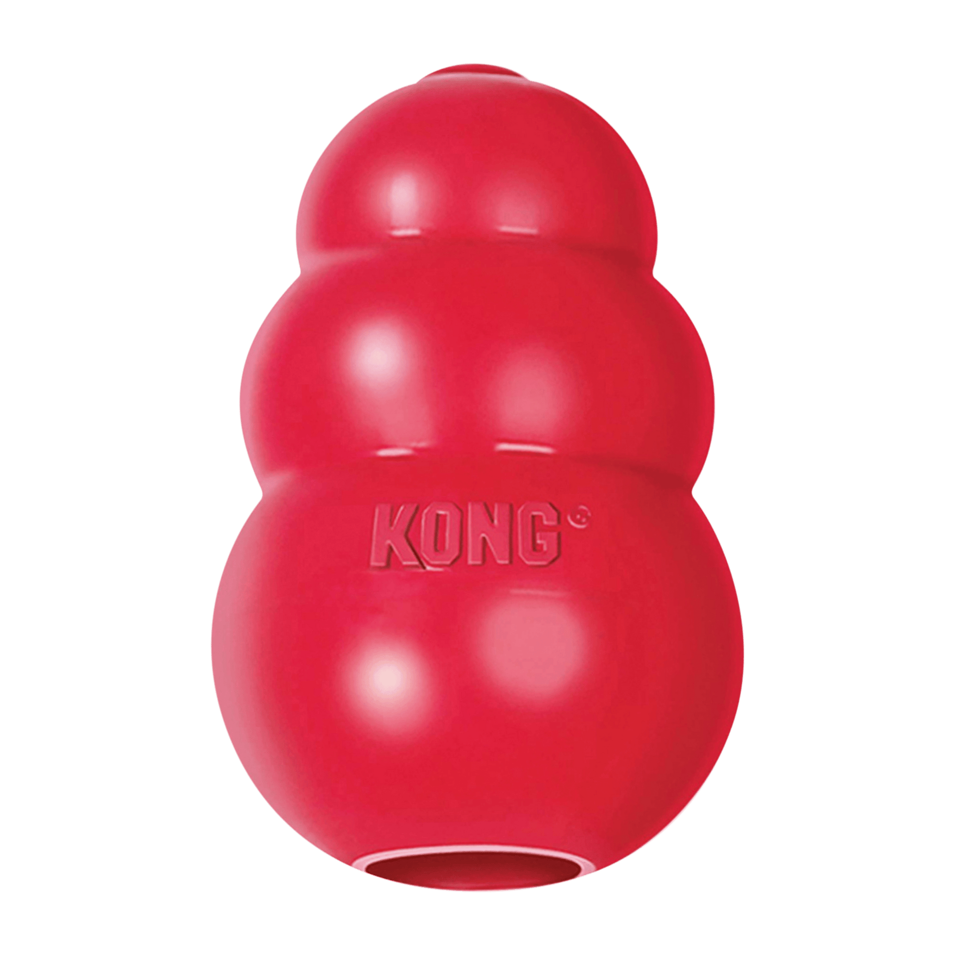 Kong Classic Small - The Pet Source