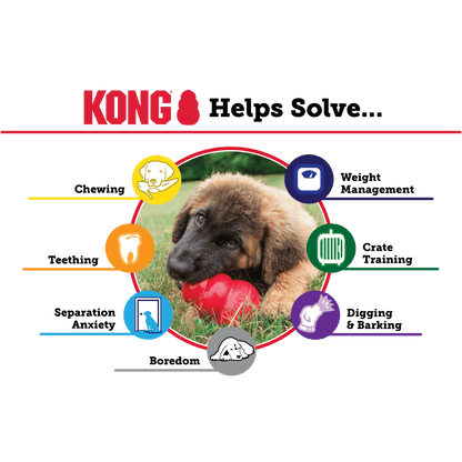 Kong Classic Small - The Pet Source