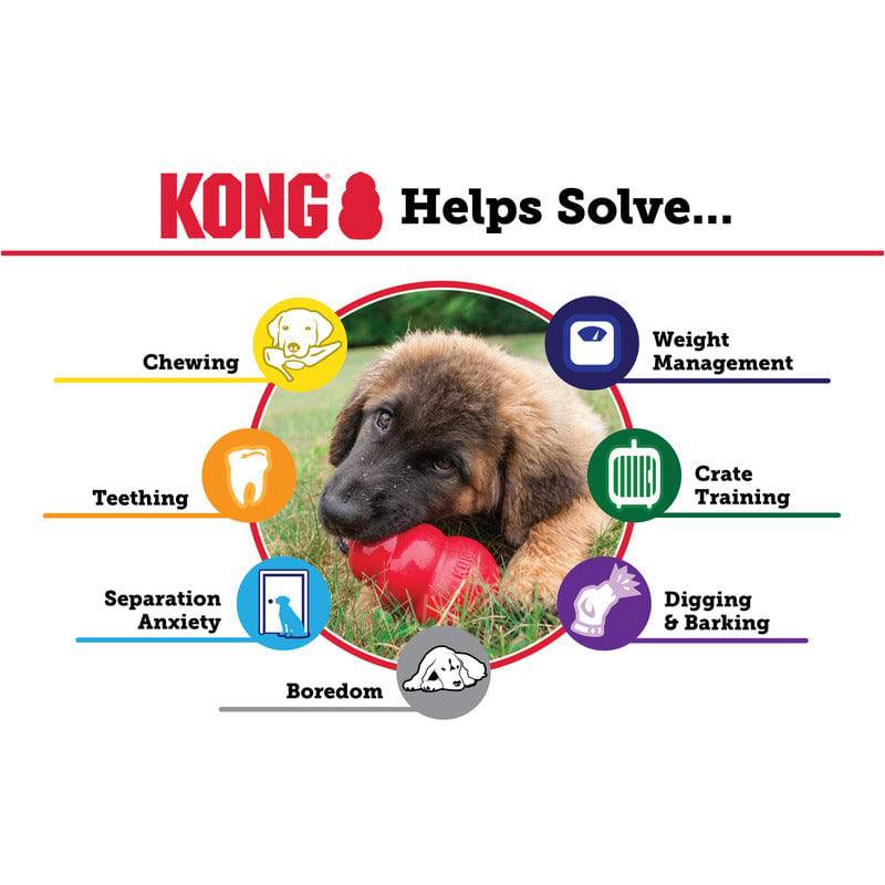 Kong Puppy - Medium - The Pet Source