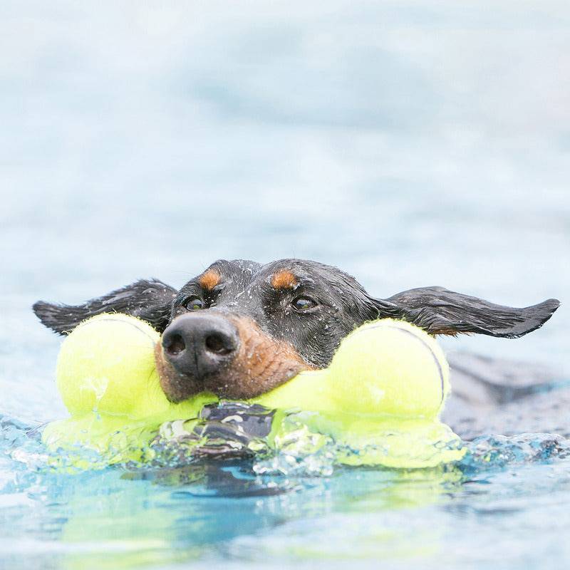 Kong Airdog Squeaker Bone small - The Pet Source