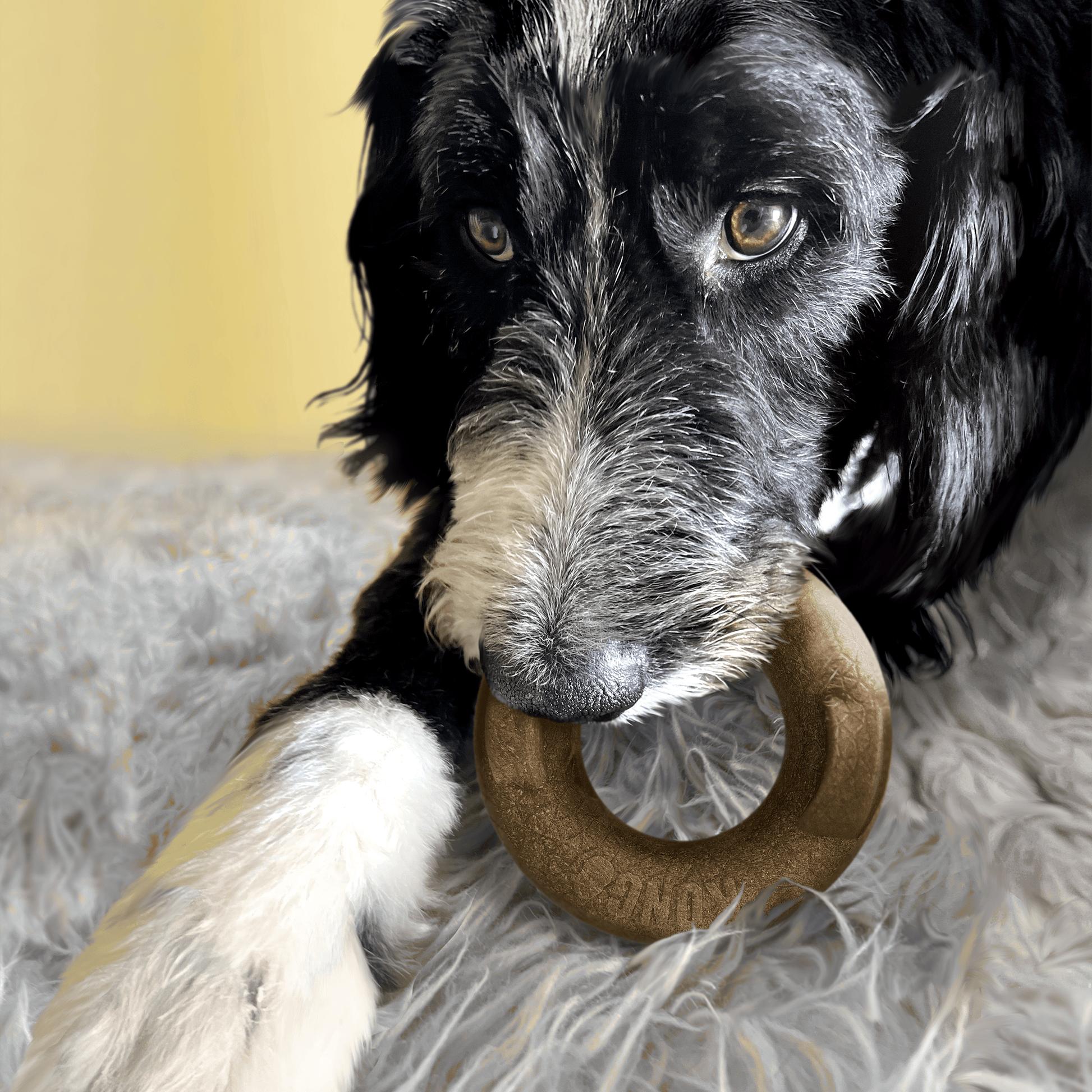 Kong Bamboo Rockerz Ring Medium - The Pet Source