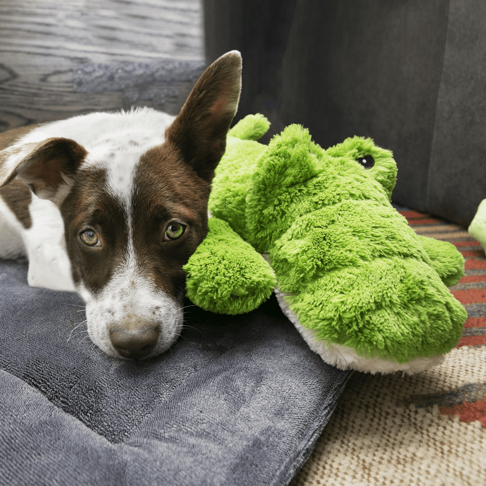 Kong Cozie Jumbo Ali - The Pet Source