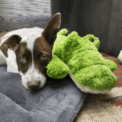 Kong Cozie Jumbo Ali - The Pet Source