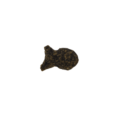 Kong Nibbies WitheFish Recipe Crunchy Cat Treats - 2 oz - The Pet Source