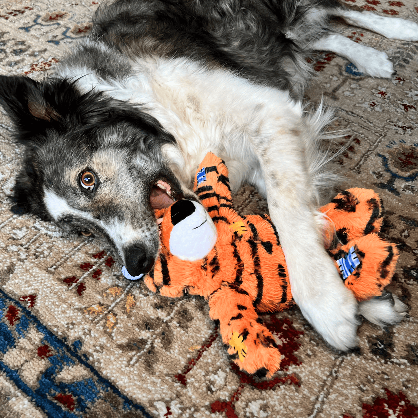 Kong Wild Knots Tiger - Medium/Large - The Pet Source