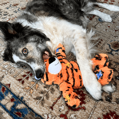 Kong Wild Knots Tiger - Medium/Large - The Pet Source