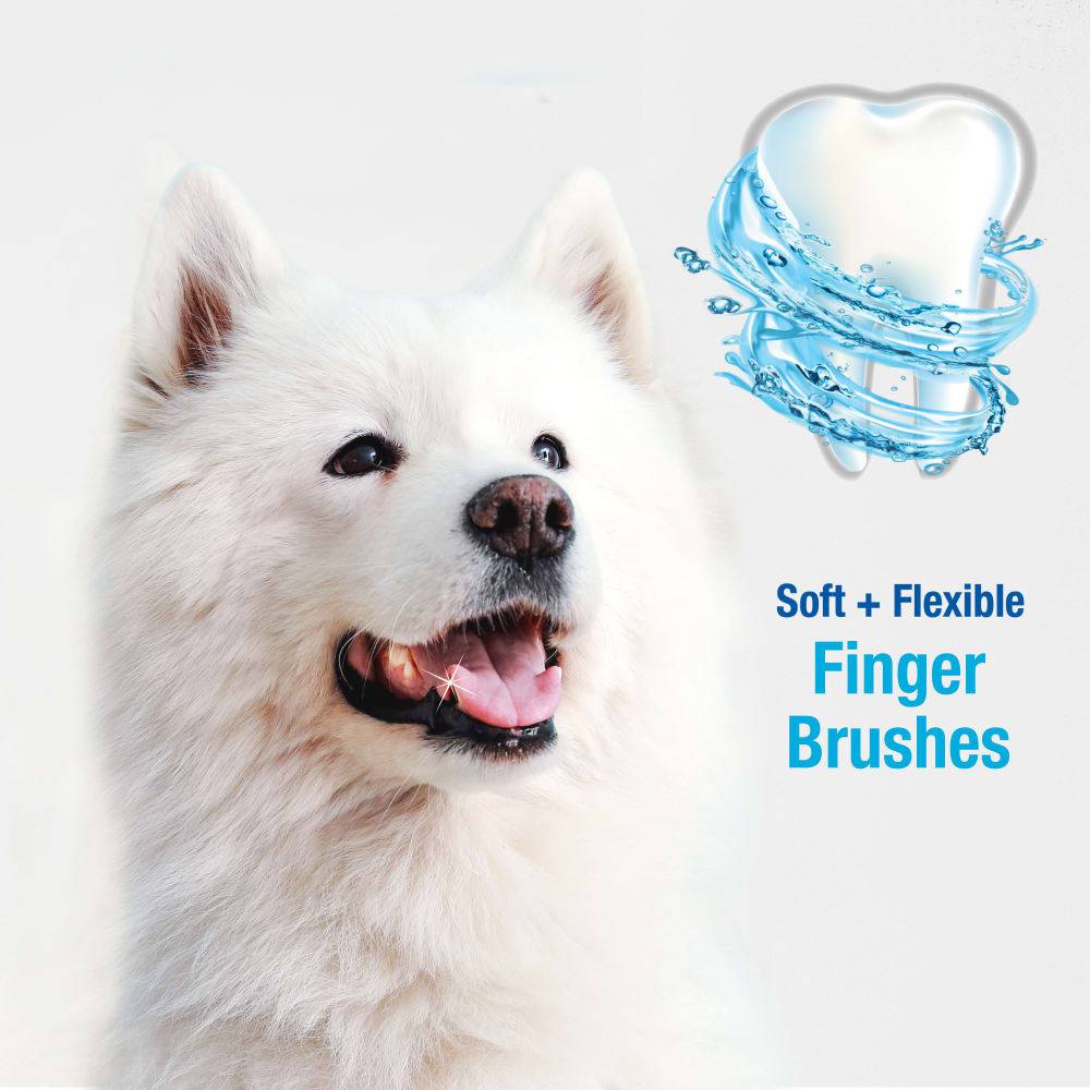 Nylabone Advanced Oral Care Finger Brush - The Pet Source