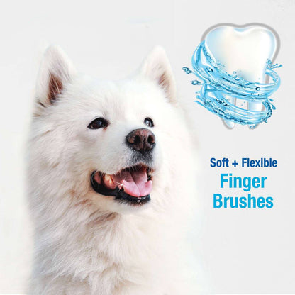 Nylabone Advanced Oral Care Finger Brush - The Pet Source