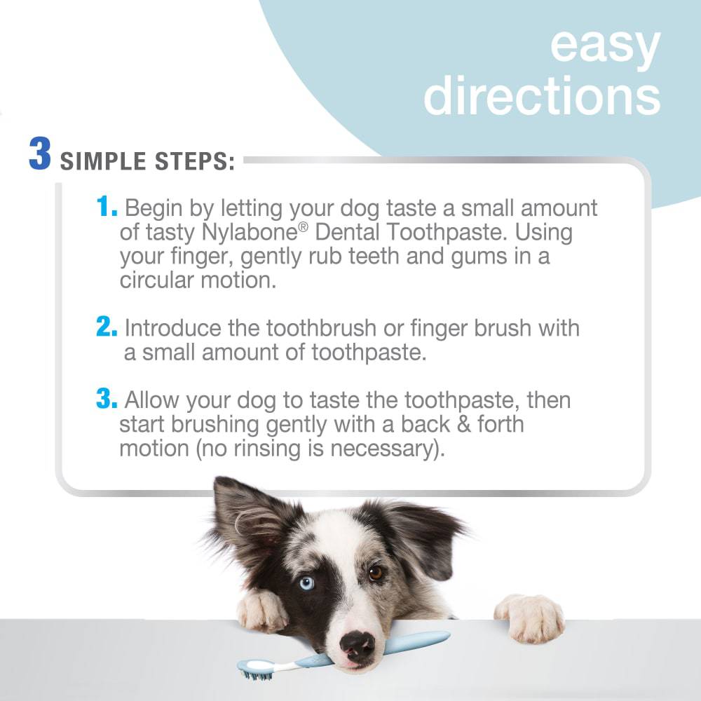 Nylabone Advanced Oral Care Tartar Control Dog Toothpaste - The Pet Source