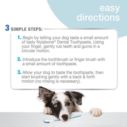 Nylabone Advanced Oral Care Tartar Control Dog Toothpaste - The Pet Source