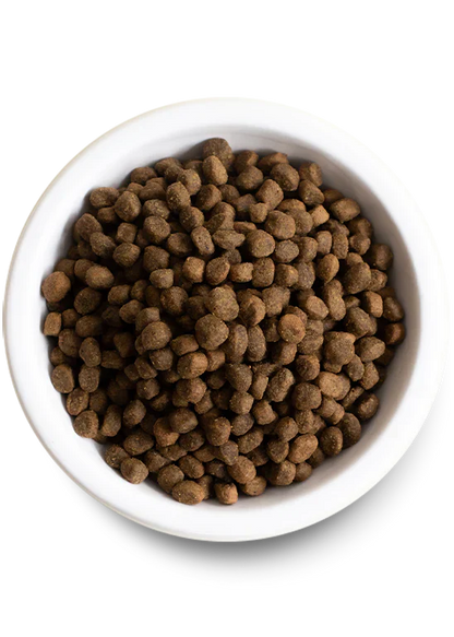 Open Farm Grass Fed Beef Grain Free Dry Dog Food - 22lb