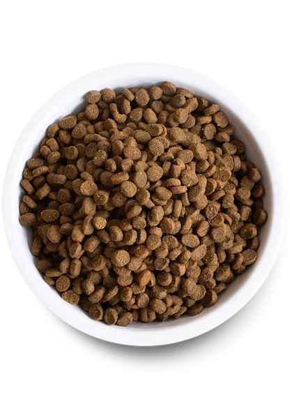 Open Farm Homestead Turkey & Chicken Dry Cat Food - 2lb