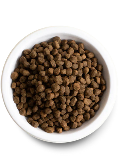 Open Farm Homestead Turkey & Ancient Grains Dry Dog Food - 22lb