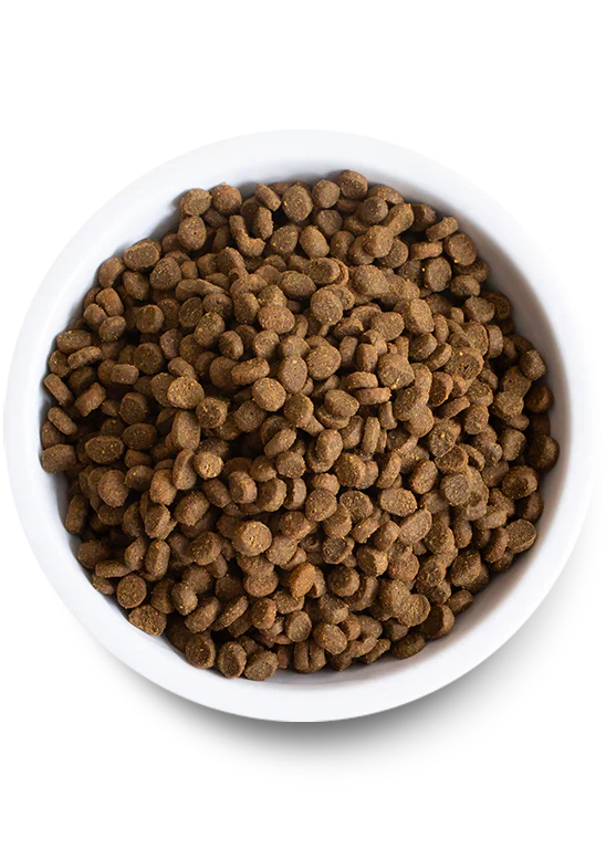 Open Farm Homestead Wild Caught Salmon Dry Cat Food - 2lb