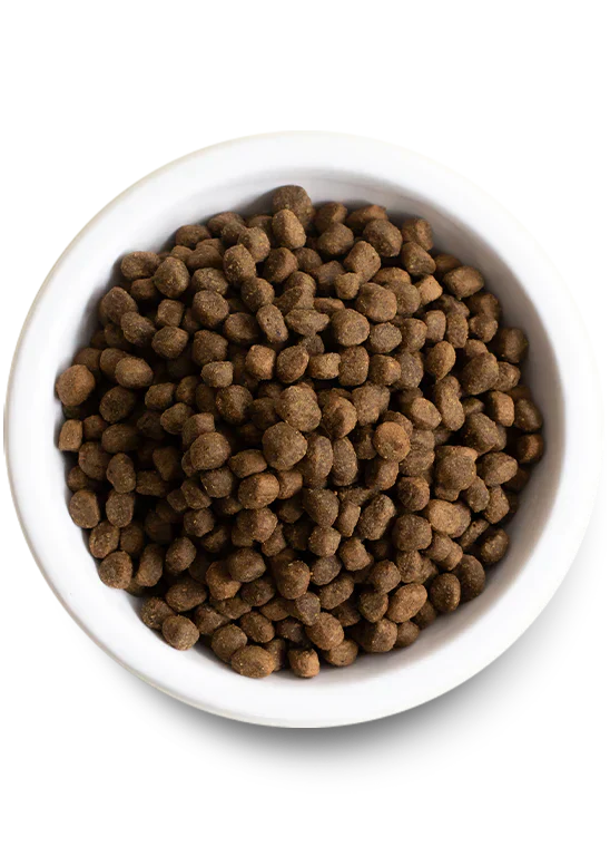 Open Farm Pasture Raised Lamb & Ancient Grains Dry Dog Food - 22lb