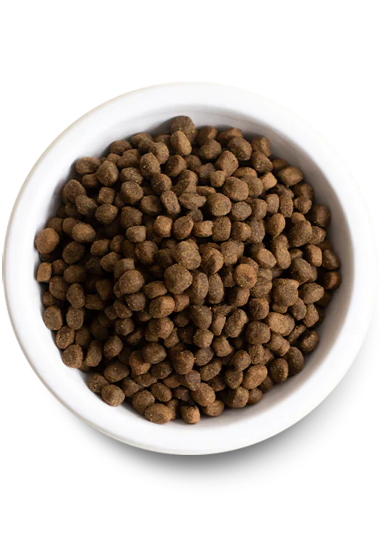 Open Farm Pasture Raised Lamb Grain Free Dry Dog Food - 4lb