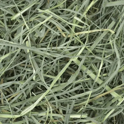 Oxbow Orchard Grass Hay - 9lb - The Pet Source