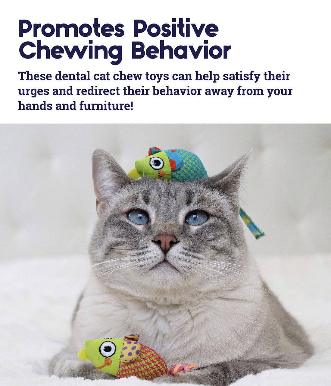 Petstages Catnip Dental Health Chew Mice - 2 Pack - The Pet Source