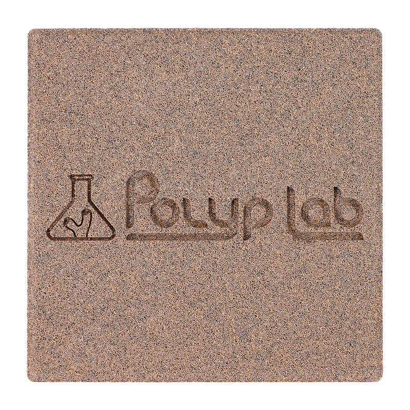 PolypLab Genesis Rock 4 Pack