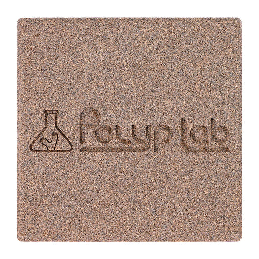 PolypLab Genesis Rock 4 Pack