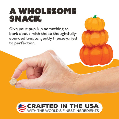 Primal Freeze Dried Raw Dog Treats Pumpkin for My Pumpkin Chicken, Pumpkin & Goat Milk - 2oz