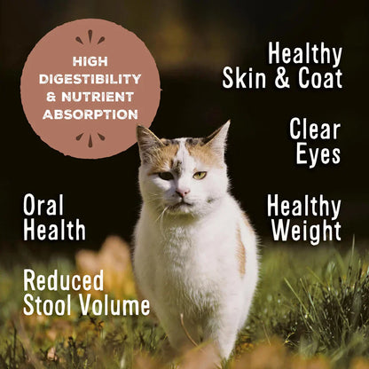 Primal Freeze Dried Raw Nuggets Cat Food Beef & Salmon Recipe - 14oz