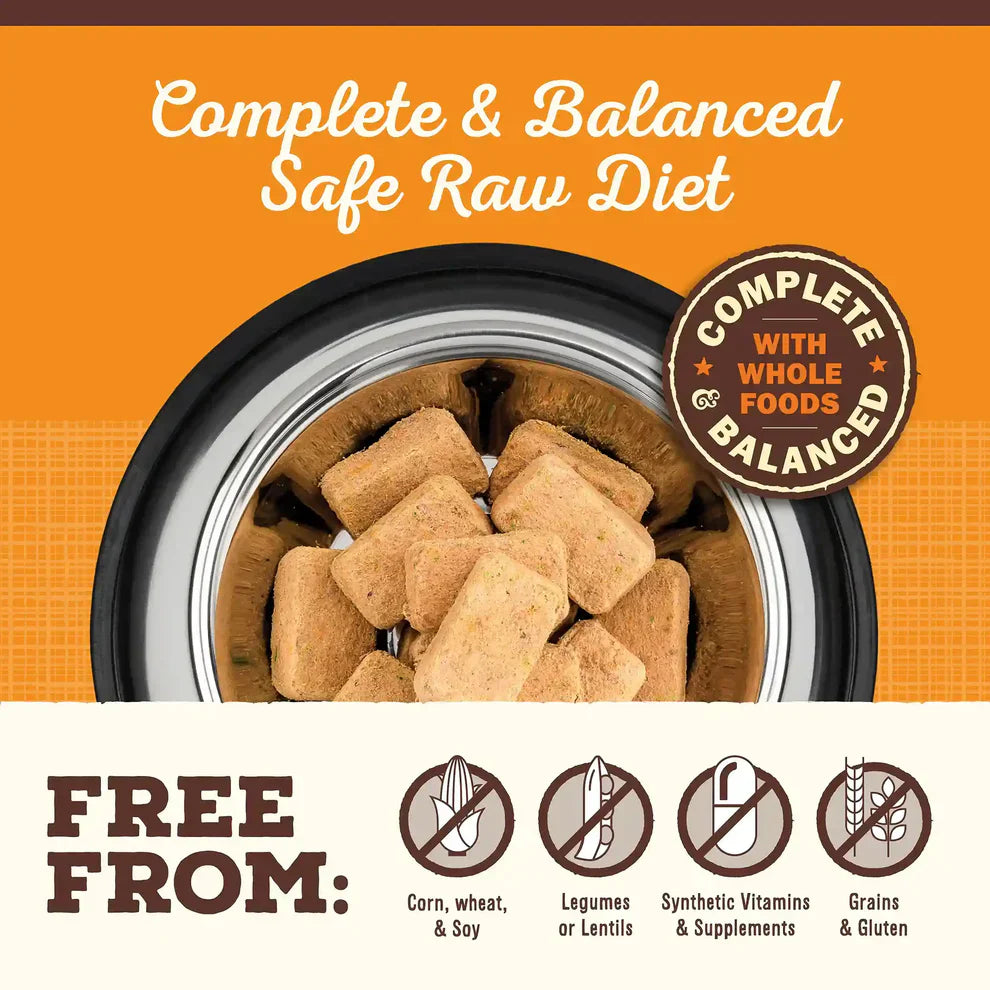 Primal Freeze Dried Raw Nuggets Dog Food Beef Recipe - 14oz