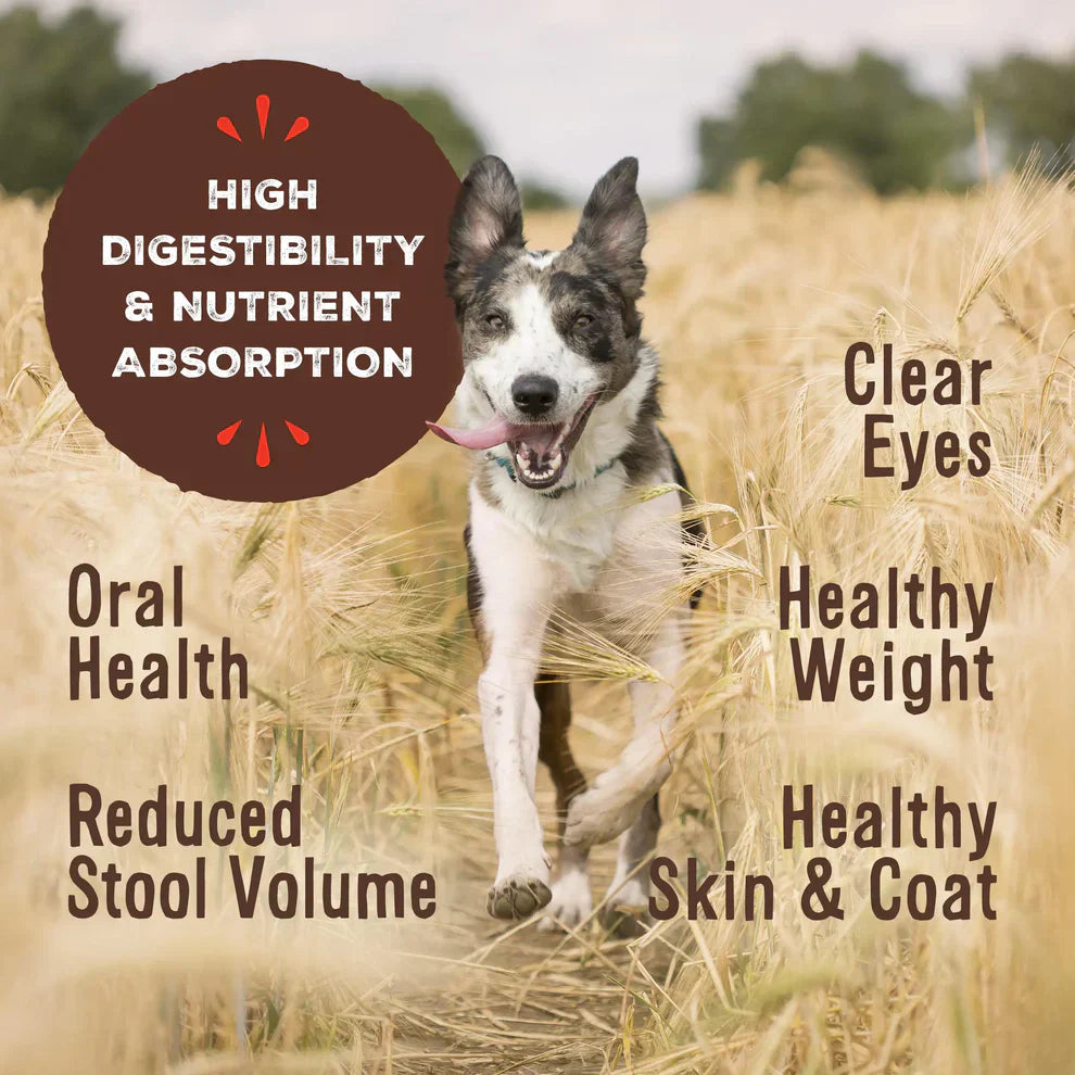 Primal Freeze Dried Raw Nuggets Dog Food Chicken Recipe - 14oz