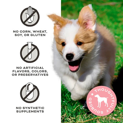 Primal FriendChips Matter Jerky Treats for Dogs Beef Recipe - 4oz