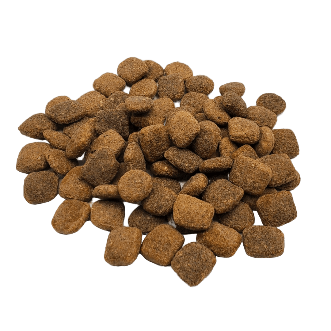 RAWZ Meal-Free Salmon, Dehydrated Chicken & Whitefish Dog Food Recipe - 20 lb - The Pet Source