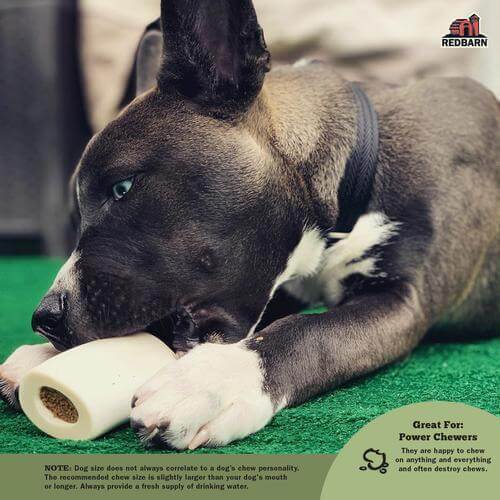 Redbarn Filled Bone Peanut Butter Dog Treat - Small - 1pc